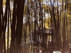 -竹海听涛生态山庄