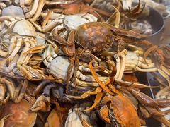 -东方红海鲜百汇(国际大厦店)