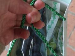 -海堤葡萄园中小学生研学基地