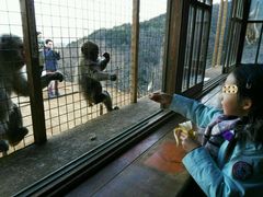-岚山猴子公园
