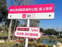 -合肥滨湖国家森林公园