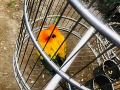 -南宫五洲植物乐园