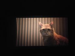 -大地影院(德清余英坊店)