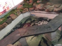 -春盛渔府(牛首山店)