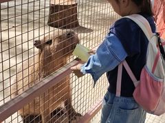 -深圳野生动物园