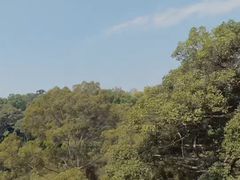 -清迈丛林飞跃 JungleFlight