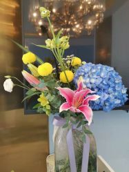 -YESIDO椰岛造型烫发染发