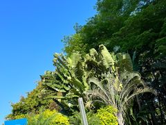 -肯德基(中心书城店)