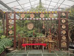 -呀路古热带植物园