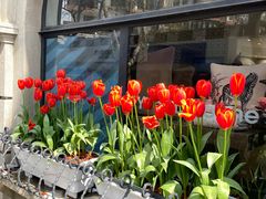 -一尺花园(安和花园店)