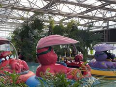 -南宫五洲植物乐园