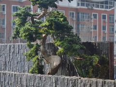 -龙宴海鲜城(经中路店)