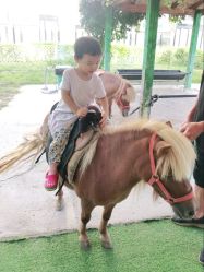 -萌宠亲子动物乐园(槐房万达店)