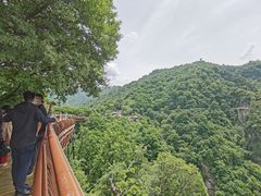 -少华山国家森林公园