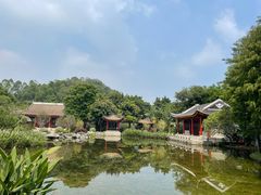 -顺峰山公园