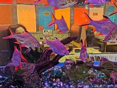 -新辉港式茶餐厅(北栅店)