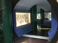 -上海昆虫博物馆