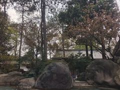 -唐风温泉