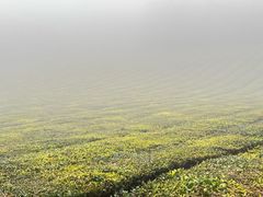 -敬亭山风景名胜区