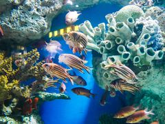 -福州罗源湾海洋世界旅游区