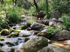 -玉渡山自然风景区