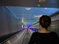 -白鹤梁水下博物馆