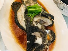 清蒸老虎斑-万宝海鲜舫(劳动公园店)