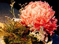 -马旺子·川小馆