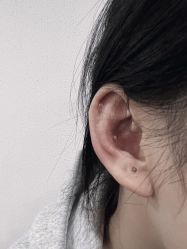 点击看大图 -龙之吻专业刺青·手工耳洞·纹身去色