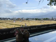 -喜林苑·稻田餐厅(品相府店)