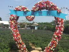 -广东花都香草世界旅游度假区