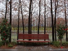-上海山野camping·户外天幕烧烤·团建拓展营地