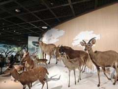 -陕西自然博物馆