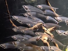 -太平洋海底世界