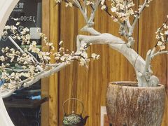 -不凡脑禅境·养生·舒压调理SPA(华发世纪城店)