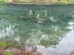 -贡湖湾湿地公园