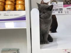 -全心全意连锁动物医院(加州店)