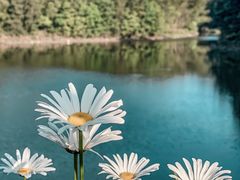 -重庆雨台山风景区