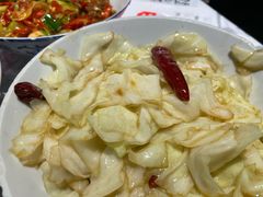 手撕包菜-壹盏灯(惠农店)