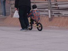 -演武大桥观景平台