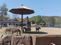 -大连森林动物园