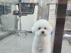 -宠物家(大兴旧宫店)