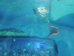 -苏州海洋馆