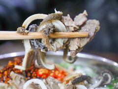 -攀枝花·任德琼·盐边羊肉米线
