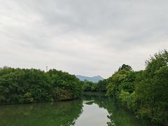 -西溪国家湿地公园