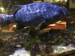 -鱼乐轩海鲜专门店
