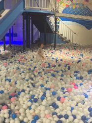 -塔塔王国·主题儿童游乐园(奥城商业广场店)