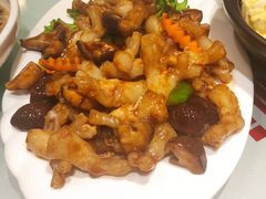 红烧蹄筋-添福来墨鱼饺子 · 海鲜东北菜(泡崖店)