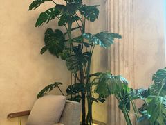 -玲婧胡同·生日蛋糕·餐厅(嘉里城店)