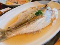 清蒸白水鱼-鱼食饭稻·苏浙土菜17年老馆子(平江路店)